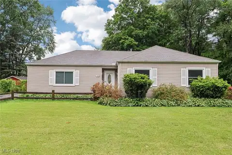 153 N Doan Avenue, Painesville, OH 44077