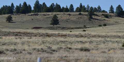 Lot 1 E Tanner Ranch Road, Parks, AZ 86018
