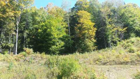 522 Justin Morrill Memorial Highway, Strafford, VT 05072