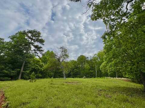 788 Beavers Drive, Morganton, GA 30560