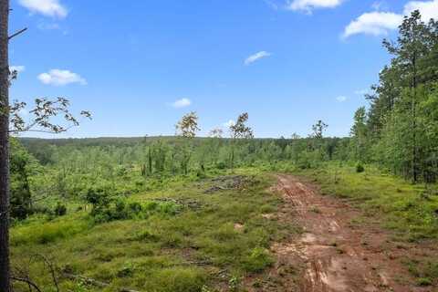 544 County Road 411, San Augustine, TX 75972