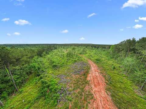 544 County Road 411, San Augustine, TX 75972