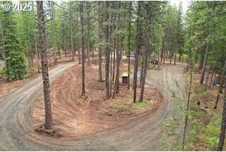 19 Mt View Estates, Sumpter, OR 97877