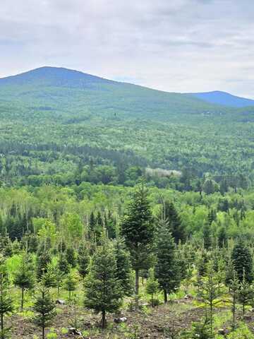 374 Crank Road, Bloomfield, VT 05905