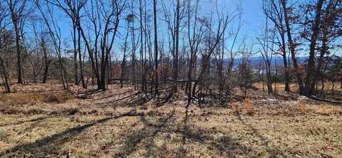 Lot 47 Summit DR, Rocky Mount, VA 24151