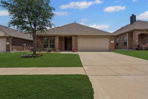 205 Mount Olive Avenue, McKinney, TX 75072