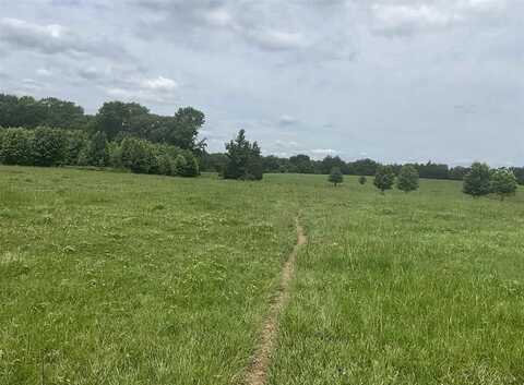Tbd County Road 2314, Pittsburg, TX 75686
