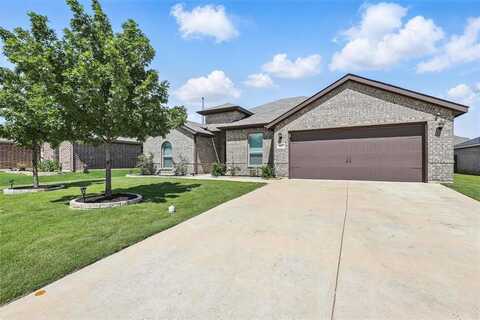 1417 Grassy Meadows Drive, Burleson, TX 76058