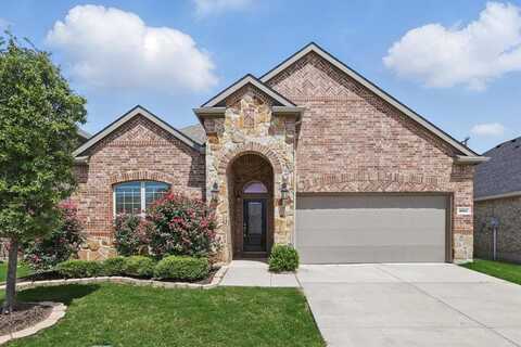1917 Lake Pine Drive, Little Elm, TX 75068