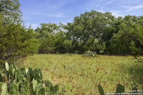 1030 Jurassic Lane, Spring Branch, TX 78070