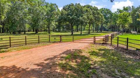000 VZ County Road 4505, Ben Wheeler, TX 75754