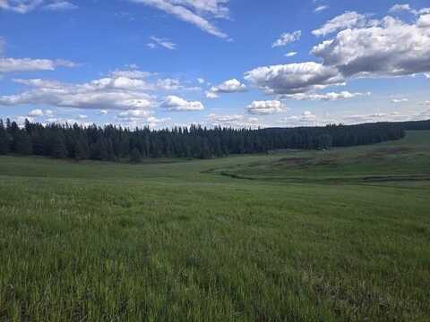 5266 Wagner Rd, Springdale, WA 99173