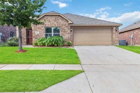 409 Hoover Avenue, Lavon, TX 75166