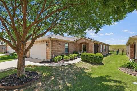 7723 Vistoso Drive, Frisco, TX 75036