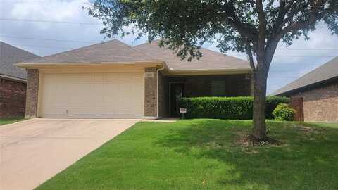 1217 Sierra Blanca Drive, Fort Worth, TX 76028