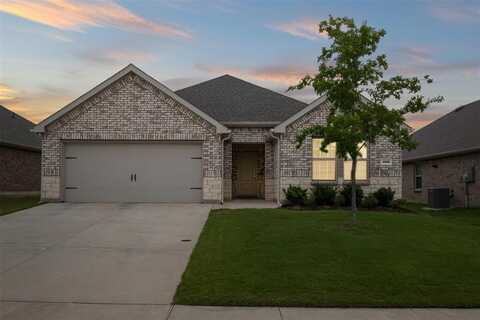 506 Cool Canyon Trail, Princeton, TX 75407