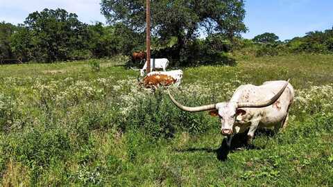 156 PR 3626, Springtown, TX 76082