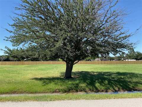 Tbd Lot 2 Surveyors Road, Krugerville, TX 76227