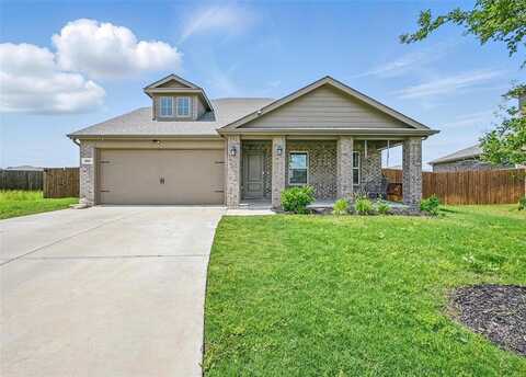 305 Sage Street, Anna, TX 75409