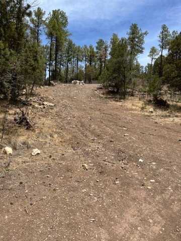undefined, Mayhill, NM 88339