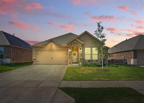 10425 Ponderosa Trail, Aubrey, TX 76227
