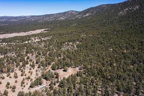 1480 State Road 111, Vallecitos, NM 87581