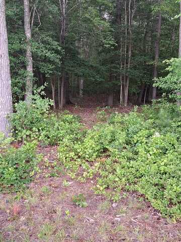 Lot 34 PITTS CREEK RD, NEW CHURCH, VA 23415