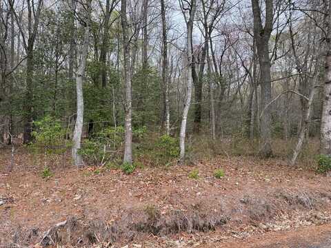 Lot 34 PITTS CREEK RD, NEW CHURCH, VA 23415