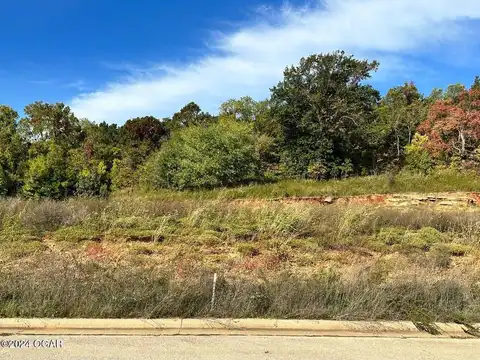 Lot 16 Jada Creek Estates, Webb City, MO 64870