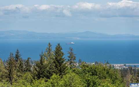 9999 Diamond Vista Drive, Port Angeles, WA 98363