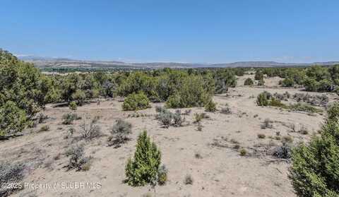 Xxx ROAD 2785, Aztec, NM 87410