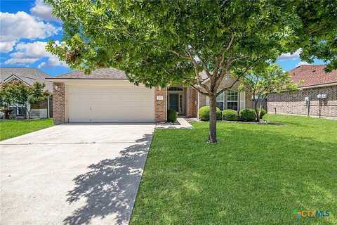 7617 Amber Meadow Loop, Temple, TX 76502