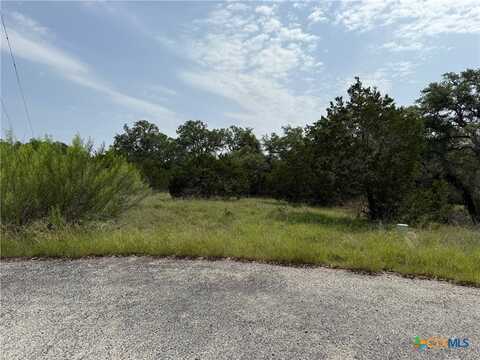 113 RESTLESS WIND, Spring Branch, TX 78070