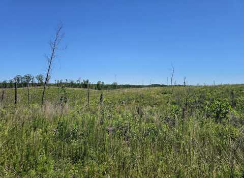 000 Pea Ridge Rd, Waterloo, AL 35677
