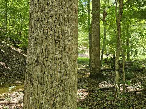000 Paradise Drive, Waterloo, AL 35677