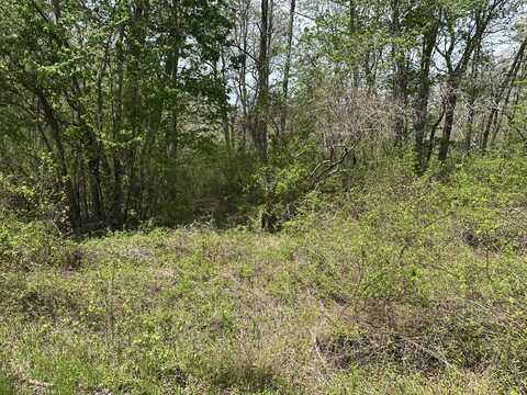 0 Bayside Road, Onancock, VA 23417