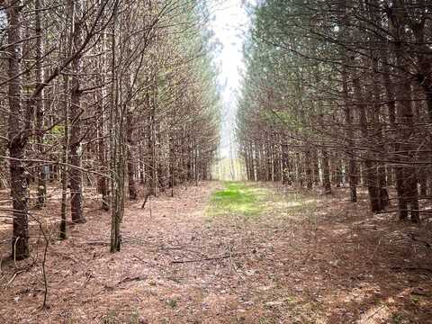 WP-001 0 West Creek Rd, Richford, NY 13835