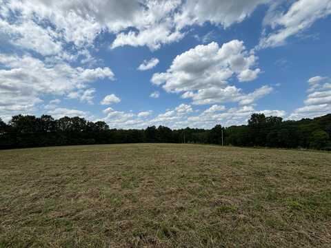 133 Coonhunters Road, Golconda, IL 62938