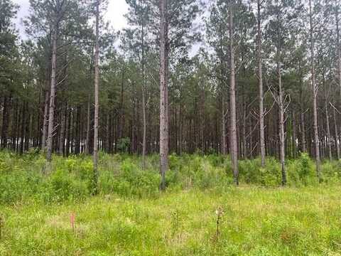 2423B East Lincoln Road, Brookhaven, MS 39601