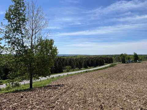 VL Trall Road, Fillmore, NY 14037