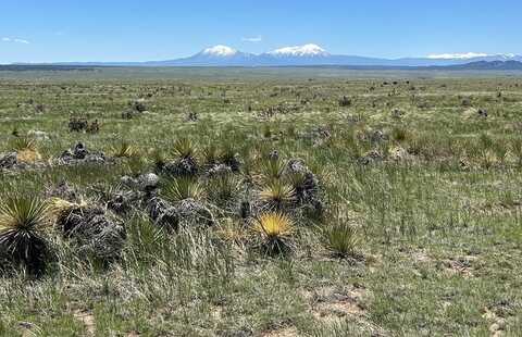 Colorado Land and Livestock lot: 126, Walsenburg, CO 81089