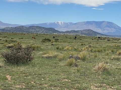 County Rd 614, Walsenburg, CO 81089