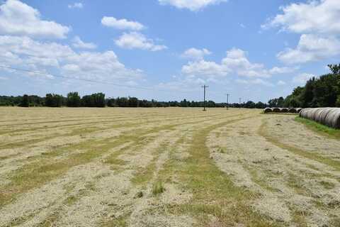 00 ACR 460, PALESTINE, TX 75803
