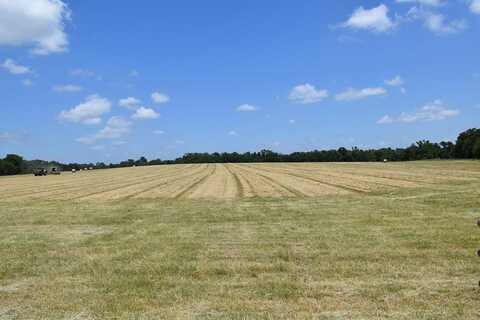 00 W FM 860, PALESTINE, TX 75803