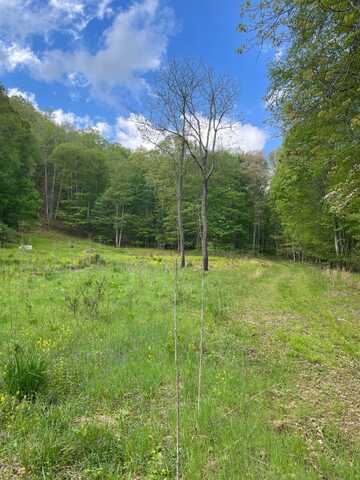 0 Rt 22, Sugar Grove, WV 26815