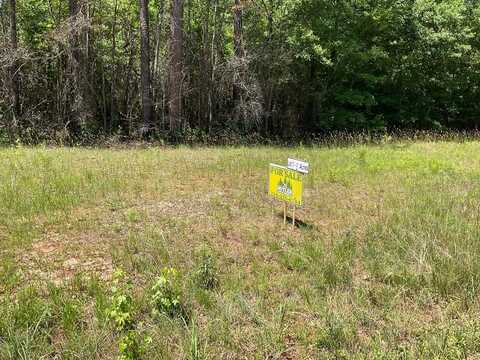 1132 Poorhouse Rd, Greenville, AL 36037