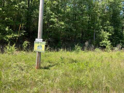 1132 Poorhouse Rd, Greenville, AL 36037
