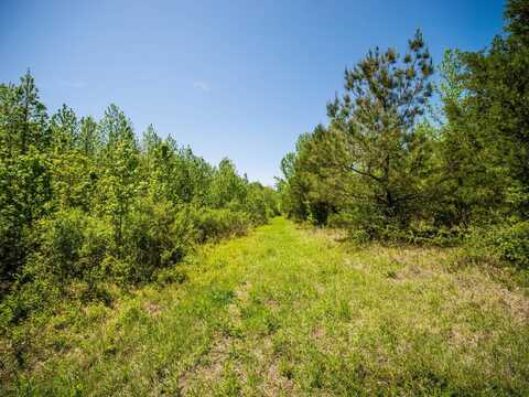 382-400 Robinson Springs Rd, Flora, MS 39071