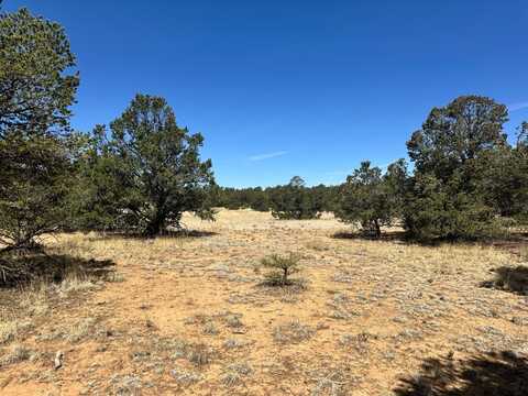 XX Wild Horse Ranch Rd, Pie Town, NM 87827