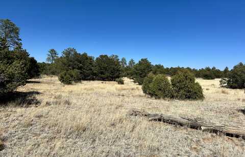 XX Wild Horse Ranch Rd, Pie Town, NM 87827